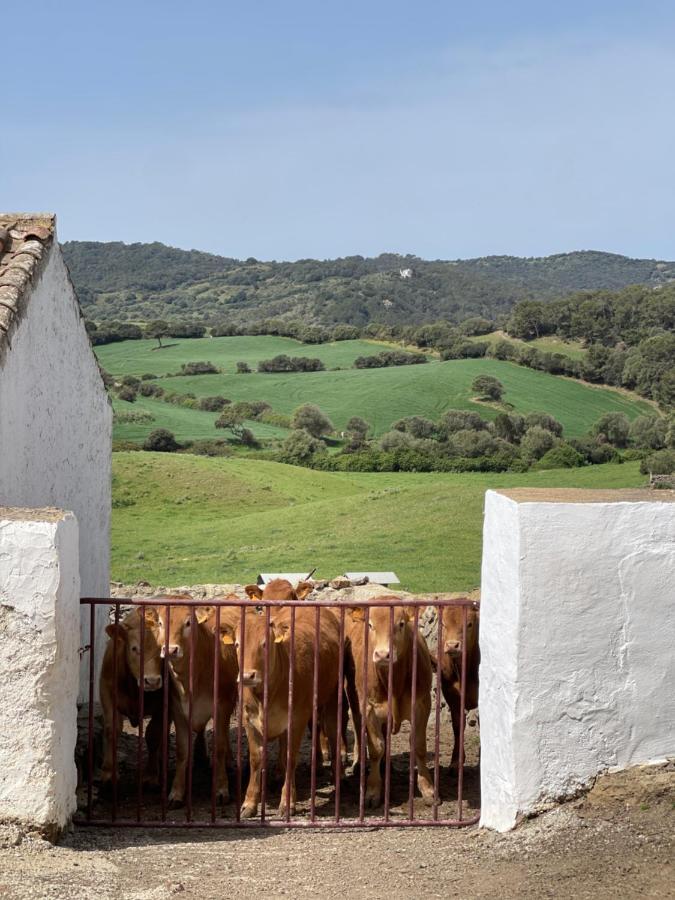 Casa Rural Bini Aumaia Es Mercadal Exterior foto